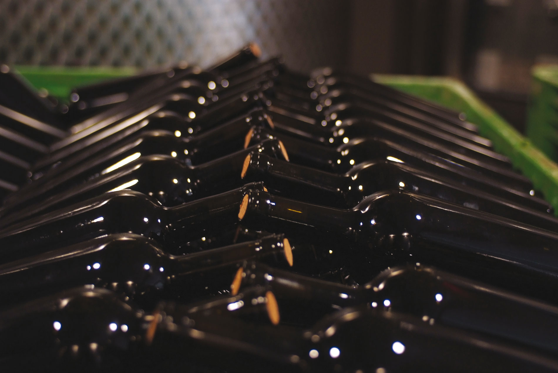 Wine Club